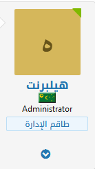 FLAGS.gif