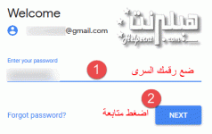 4.gif