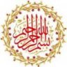 م / محمد حمادة