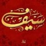 سيف الإسلام